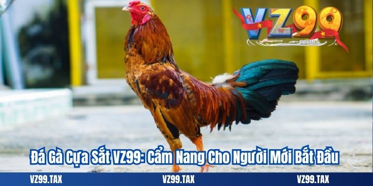 Đá Gà Cựa Sắt VZ99: Cập Nhật Chi Tiết Và Chính Xác Nhất 2 Đá Gà Cựa Sắt VZ99: Cẩm Nang Cho Người Mới Bắt Đầu
