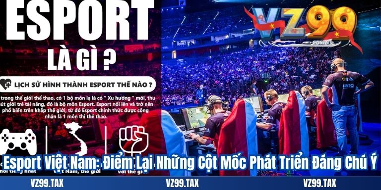 Esport Việt Nam: Xu Hướng Thể Thao Điện Tử 2025 2 Esport Việt Nam: Điểm Lại Những Cột Mốc Phát Triển Đáng Chú Ý