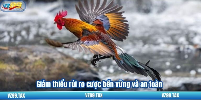 Giảm thiểu rủi ro cược bền vững và an toàn