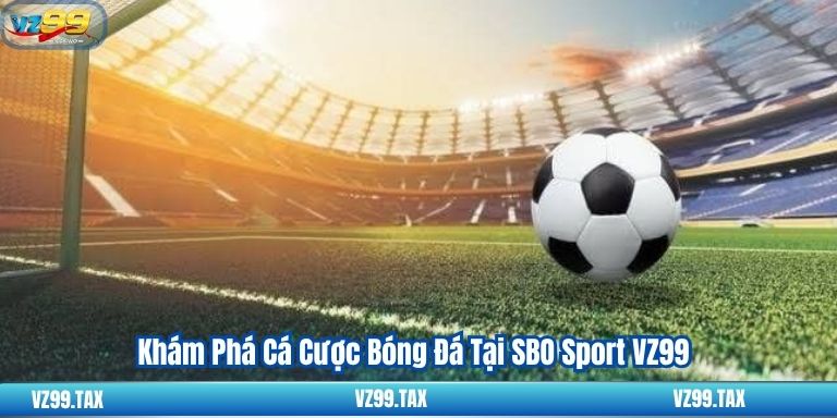 Khám Phá Cá Cược Bóng Đá Tại SBO Sport VZ99