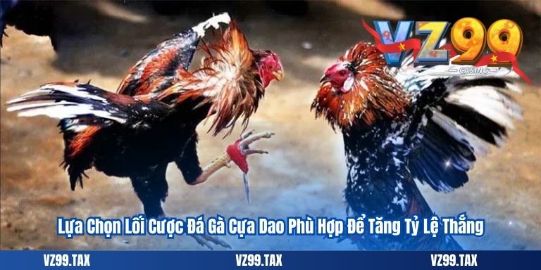 Đá Gà Cựa Dao 2025 – Trải Nghiệm Cá Cược Đỉnh Cao 6 Lựa Chọn Lối Cược Đá Gà Cựa Dao Phù Hợp Để Tăng Tỷ Lệ Thắng