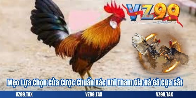 Đá Gà Cựa Sắt VZ99: Cập Nhật Chi Tiết Và Chính Xác Nhất 6 Mẹo Lựa Chọn Cửa Cược Chuẩn Xác Khi Tham Gia Đá Gà Cựa Sắt