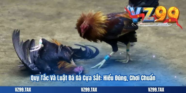 Đá Gà Cựa Sắt VZ99: Cập Nhật Chi Tiết Và Chính Xác Nhất 5 Quy Tắc Và Luật Đá Gà Cựa Sắt: Hiểu Đúng, Chơi Chuẩn