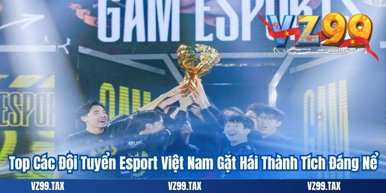 Esport Việt Nam: Xu Hướng Thể Thao Điện Tử 2025 3 Top Các Đội Tuyển Esport Việt Nam Gặt Hái Thành Tích Đáng Nể