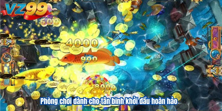 Phòng chơi dành cho tân binh khởi đầu hoàn hảo