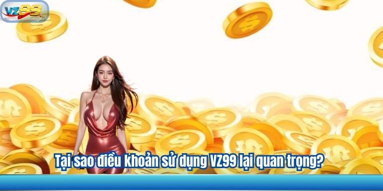 Tại sao điều khoản sử dụng VZ99 lại quan trọng?
